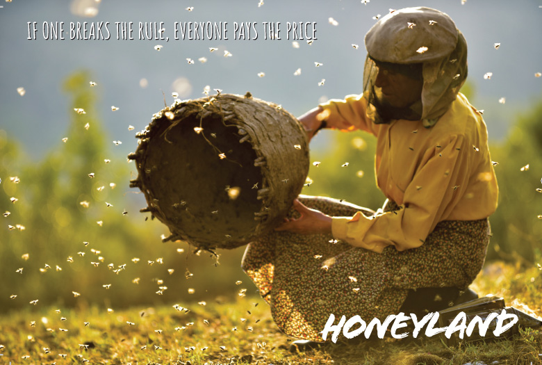 Honeyland Documentary promotional postcard design